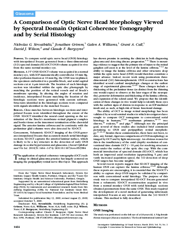 (PDF) A Comparison of Optic Nerve Head Morphology Viewed by Spectral ...