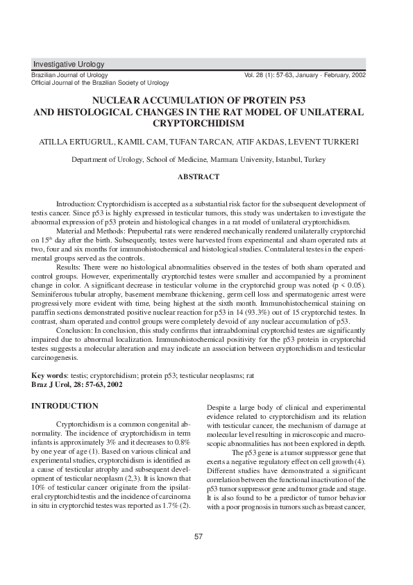 (PDF) Nuclear Accumulation of Protein P53 and Histological Changes in ...