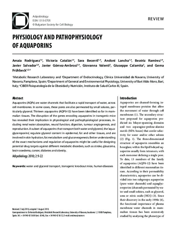 (PDF) Physiology and pathophysiology of aquaporins