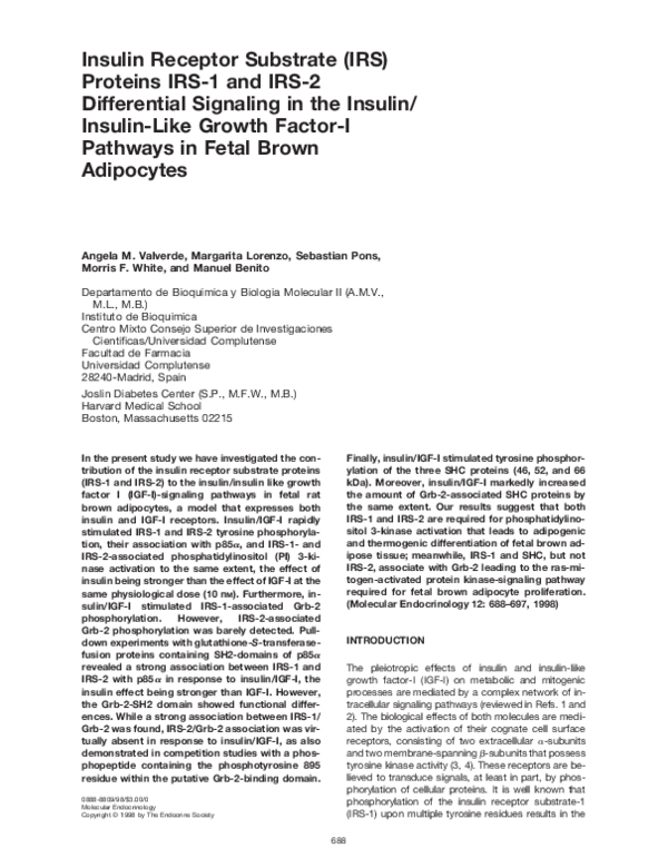 (PDF) Insulin Receptor Substrate (IRS) Proteins IRS-1 and IRS-2 ...