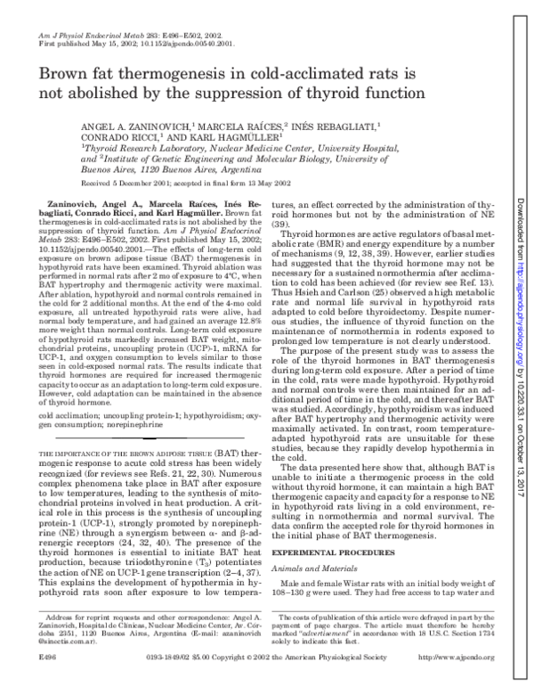 (PDF) Brown fat thermogenesis in cold-acclimated rats is not abolished ...