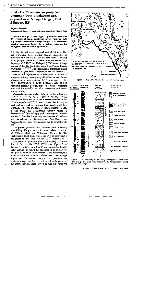 (PDF) Find of a Ramapithecus punjabicus premolar from a palaeosol unit ...