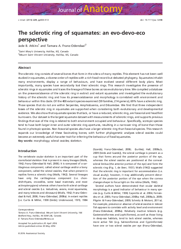 (PDF) The sclerotic ring of squamates: an evo-devo-eco perspective
