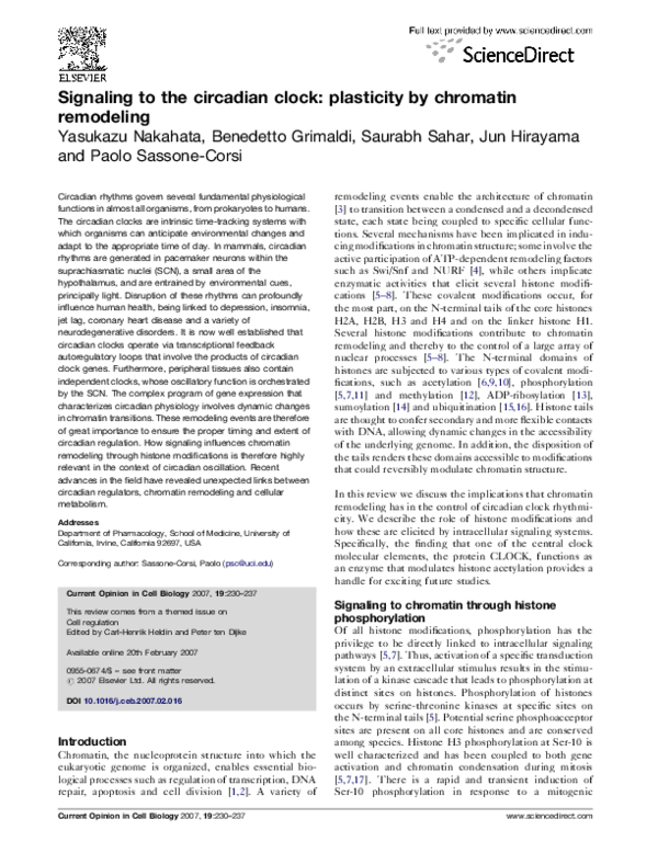 (PDF) Signaling to the circadian clock: plasticity by chromatin remodeling