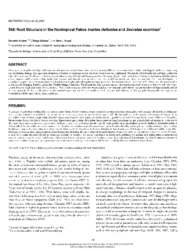 (PDF) Stilt Root Structure in the Neotropical Palms Iriartea deltoidea ...