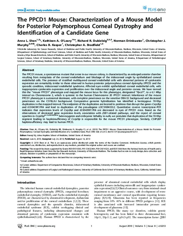(PDF) The PPCD1 Mouse: Characterization of a Mouse Model for Posterior ...
