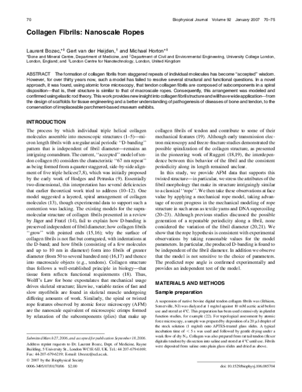 (PDF) Collagen fibrils: Nanoscale ropes | Laurent Bozec - Academia.edu