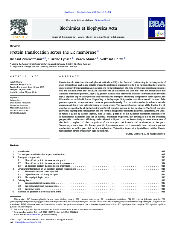 (PDF) Protein translocation across the ER membrane