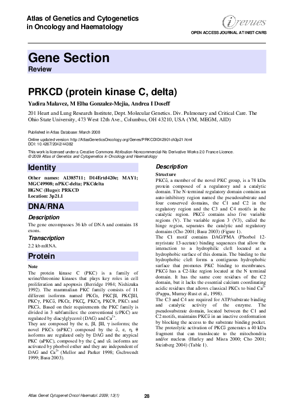 (PDF) PRKCD (protein kinase C, delta)