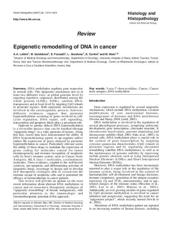 (PDF) Epigenetic remodelling of DNA in cancer | Antonia Anna Lettini ...