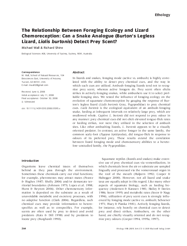(PDF) The Relationship Between Foraging Ecology and Lizard ...