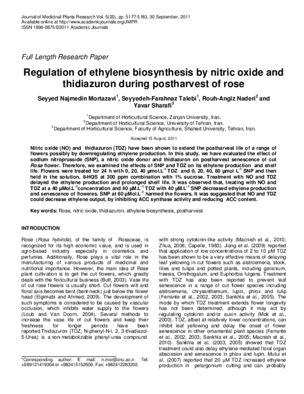 (PDF) Regulation of ethylene biosynthesis by nitric oxide in tomato ...