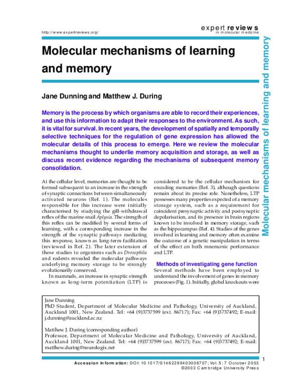 (PDF) Molecular mechanisms of learning and memory