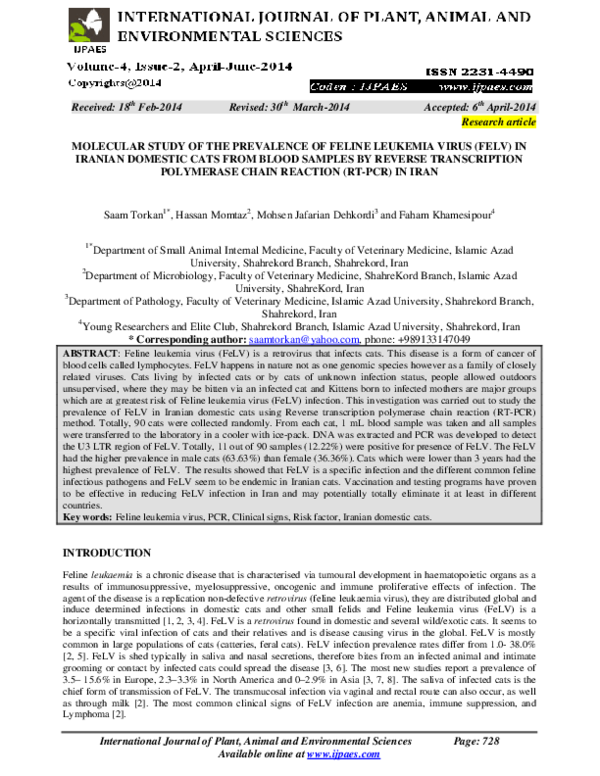 Picture of (PDF) Molecular Study of the Prevalence of Feline Leukemia Virus (Felv ...