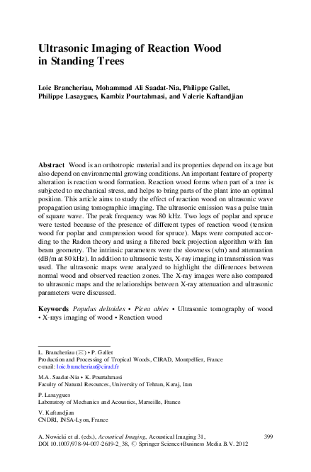 (PDF) Ultrasonic Imaging of Reaction Wood in Standing Trees
