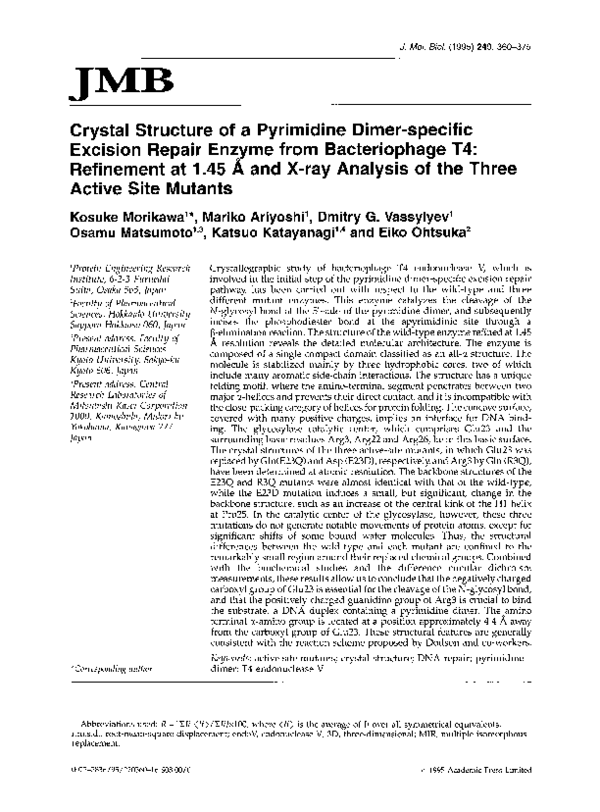 (PDF) Crystal structure of a pyrimidine dimer-specific excision repair ...