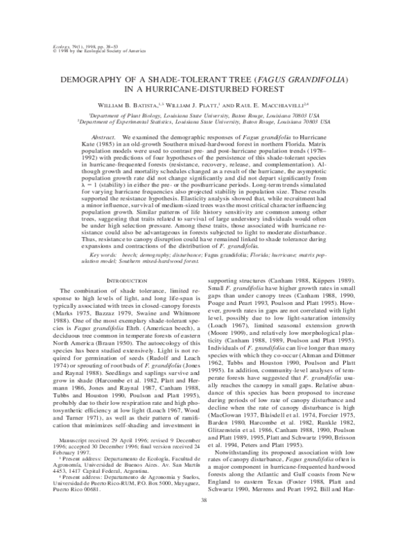 (PDF) Demography of a Shade-Tolerant Tree (Fagus grandifolia) in a ...
