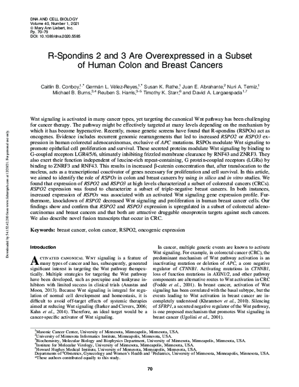 (PDF) R-Spondins 2 and 3 Are Overexpressed in a Subset of Human Colon ...