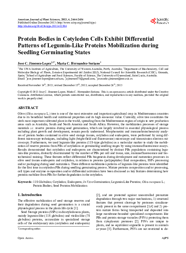 (PDF) Protein Bodies in Cotyledon Cells Exhibit Differential Patterns ...