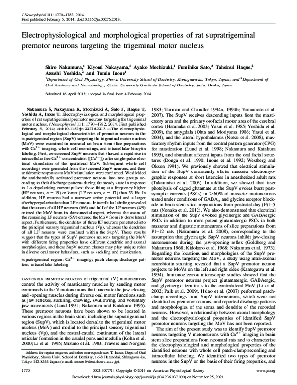 (PDF) Electrophysiological and morphological properties of rat ...