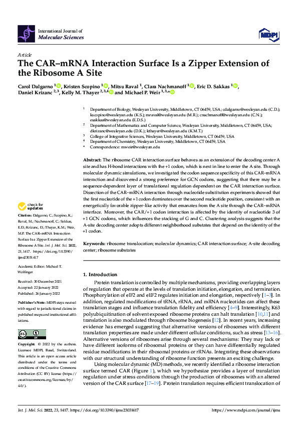 (PDF) The CAR mRNA-Interaction Surface is a Zipper Extension of the ...