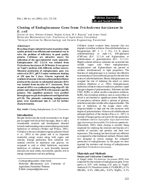 (PDF) Cloning of Endoglucanase Gene from Trichoderma harzianum in E . coli