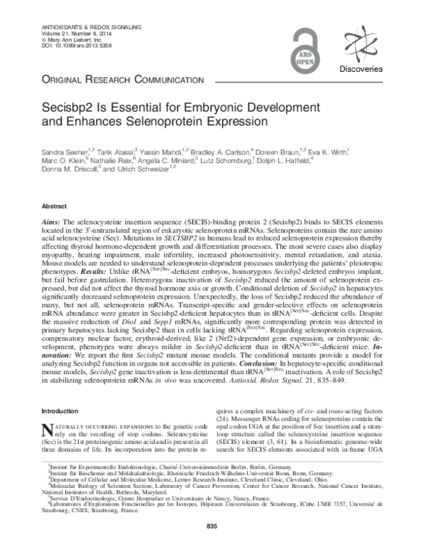 (PDF) Secisbp2 Is Essential for Embryonic Development and Enhances ...
