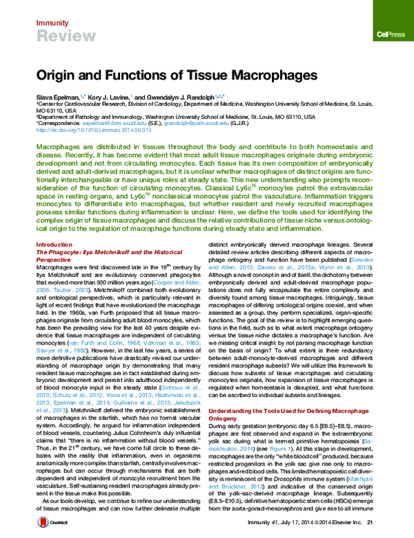 (PDF) Origin and functions of tissue macrophages