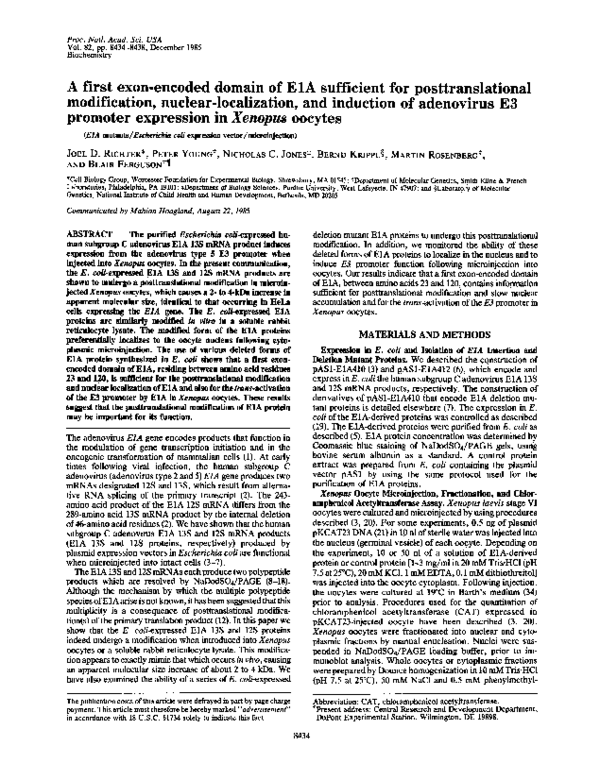 (PDF) A first exon-encoded domain of E1A sufficient for ...