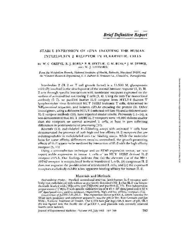 (PDF) Stable expression of cDNA encoding the human interleukin 2 ...