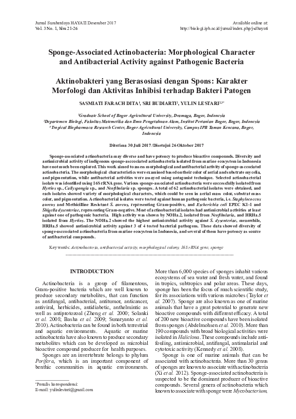 (PDF) SpongeAssociated Actinobacteria Morphological Character and