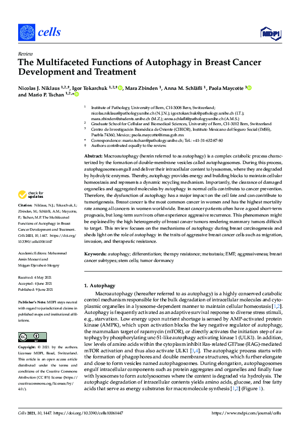 (PDF) The Multifaceted Functions of Autophagy in Breast Cancer ...
