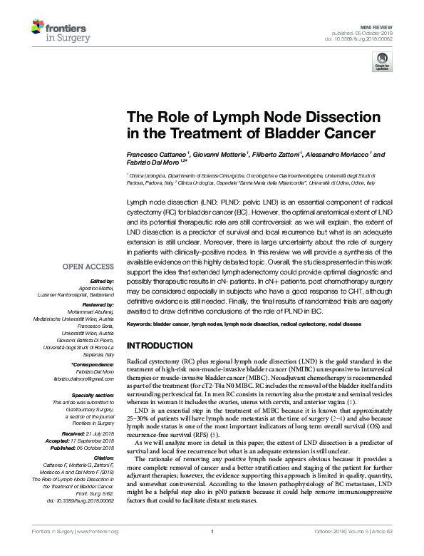(PDF) The Role of Lymph Node Dissection in the Treatment of Bladder Cancer