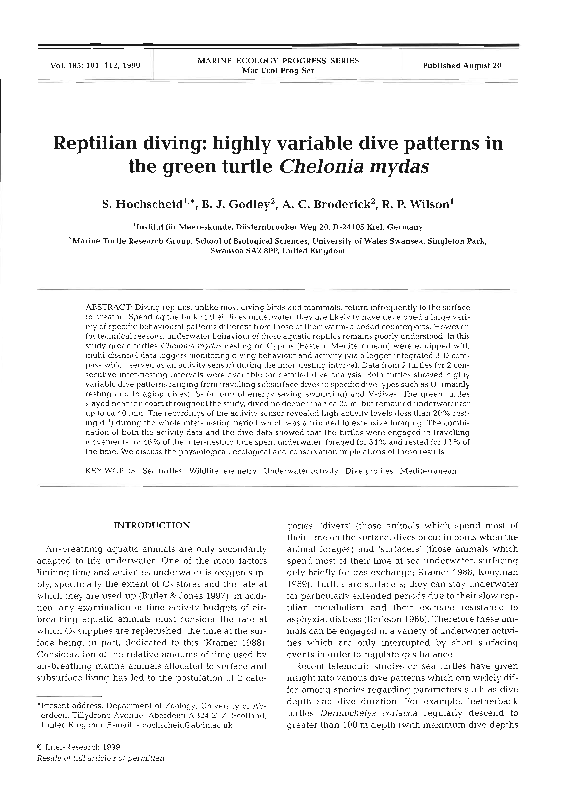 (PDF) Reptilian diving:highly variable dive patterns in the green ...