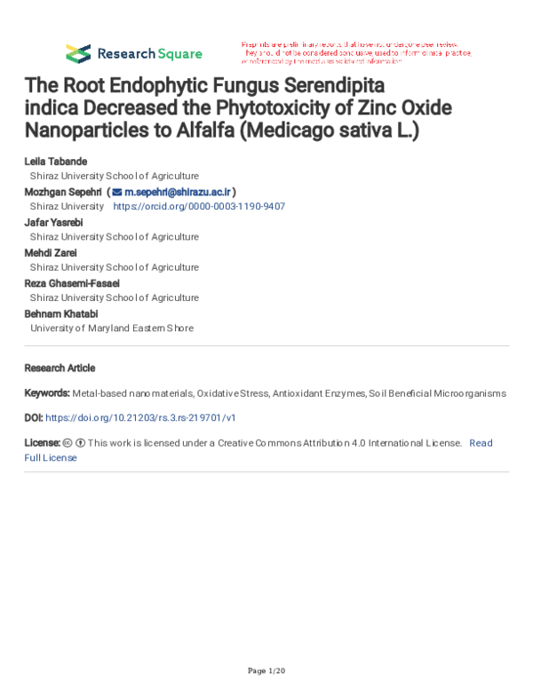 (PDF) The Root Endophytic Fungus Serendipita indica Decreased the