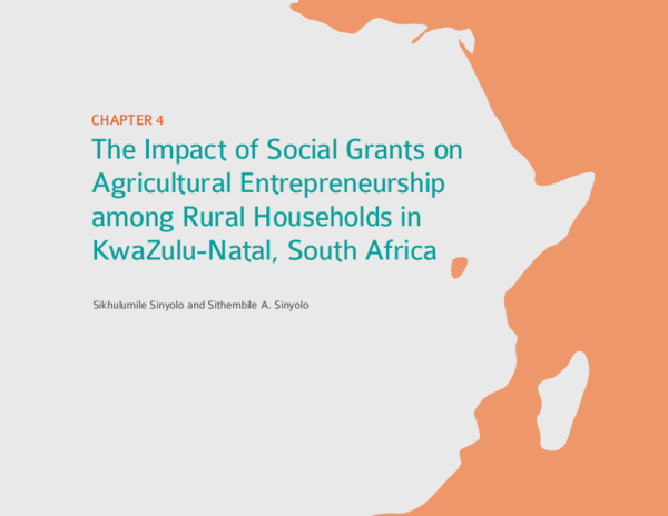 (PDF) The impact of social grants on agricultural entrepreneurship ...