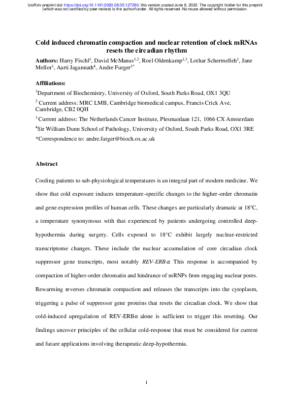(PDF) Cold induced chromatin compaction and nuclear retention of clock ...