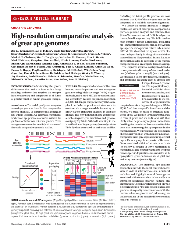 (PDF) High-resolution comparative analysis of great ape genomes