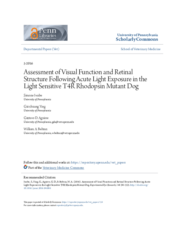 (PDF) Assessment of visual function and retinal structure following ...