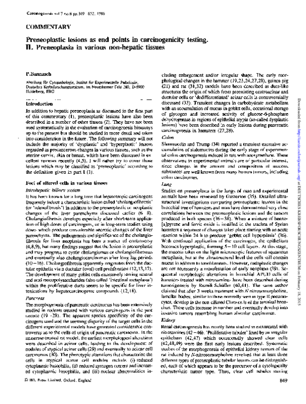 (PDF) Preneoplastic lesions as end points in carcinogenicity testing I ...