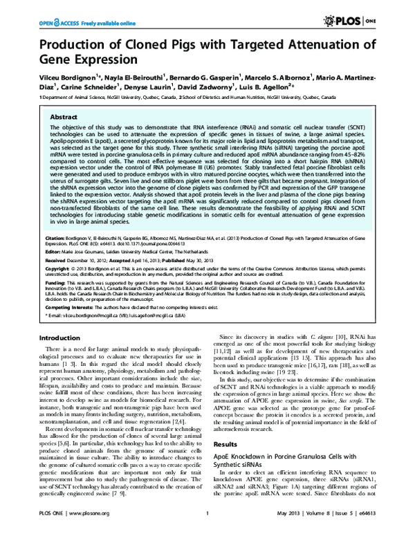 (PDF) Production of Cloned Pigs with Targeted Attenuation of Gene ...