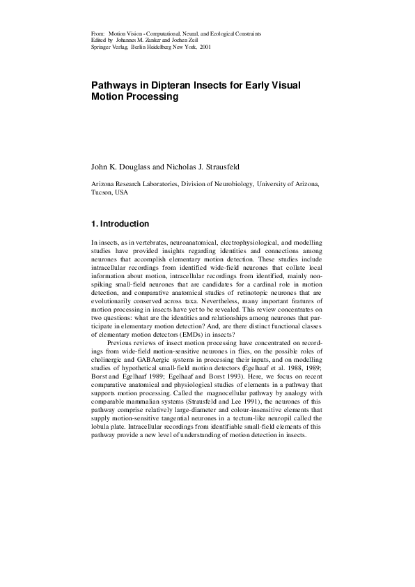 (PDF) Pathways in Dipteran Insects for Early Visual Motion Processing