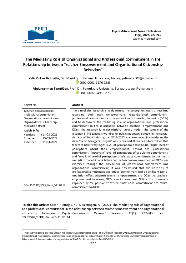 (PDF) The Mediating Role of Organizational and Professional Commitment ...