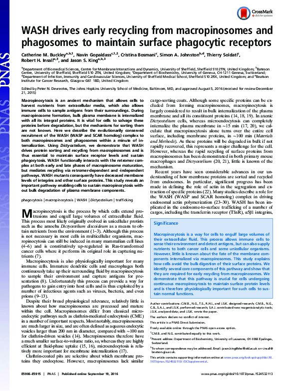 (PDF) WASH drives early recycling from macropinosomes and phagosomes to ...