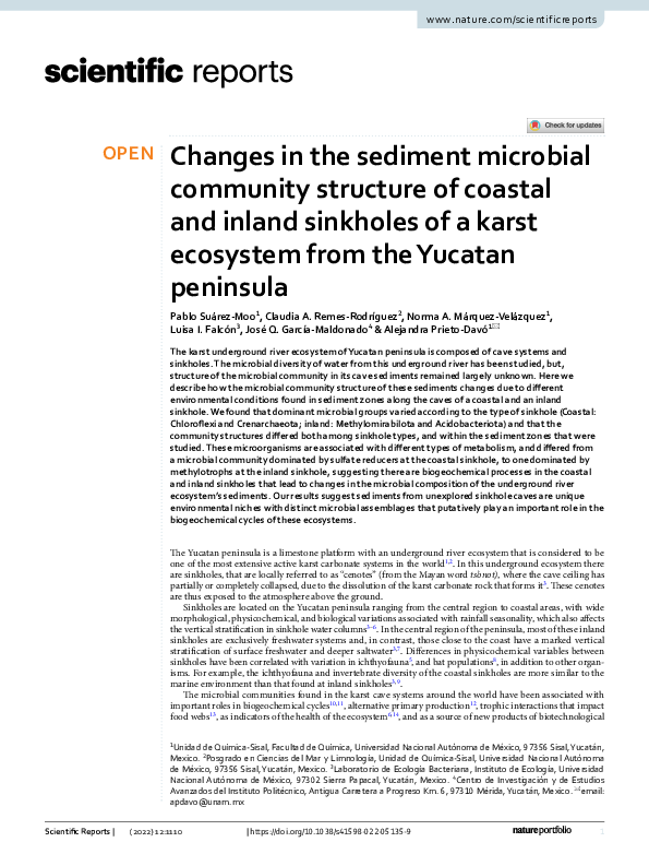 (PDF) Changes in the sediment microbial community structure of coastal ...