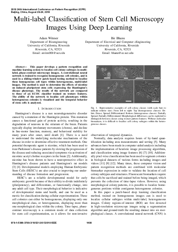 (PDF) Multi-label Classification of Stem Cell Microscopy Images Using ...