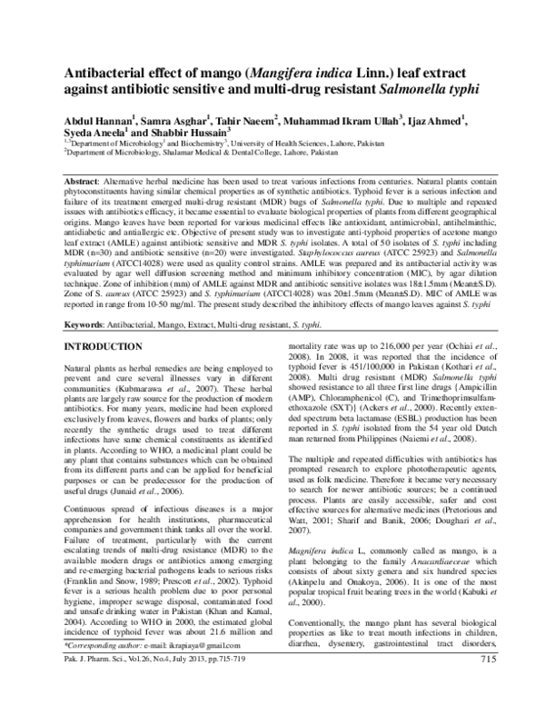 (PDF) Antibacterial effect of mango (Mangifera indica Linn.) leaf