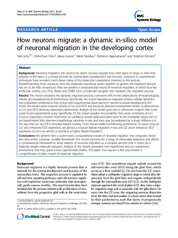 (PDF) How neurons migrate: a dynamic in-silico model of neuronal ...