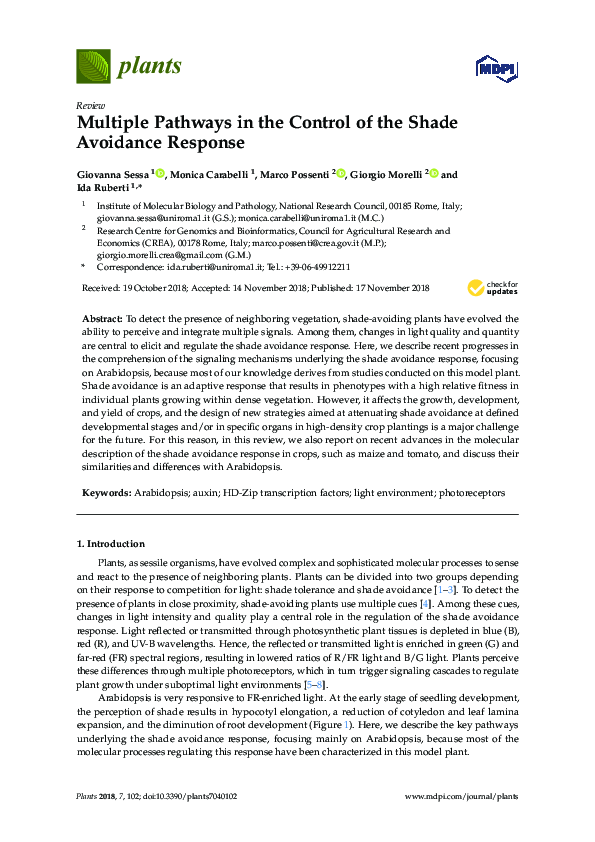 (PDF) Multiple Pathways in the Control of the Shade Avoidance Response