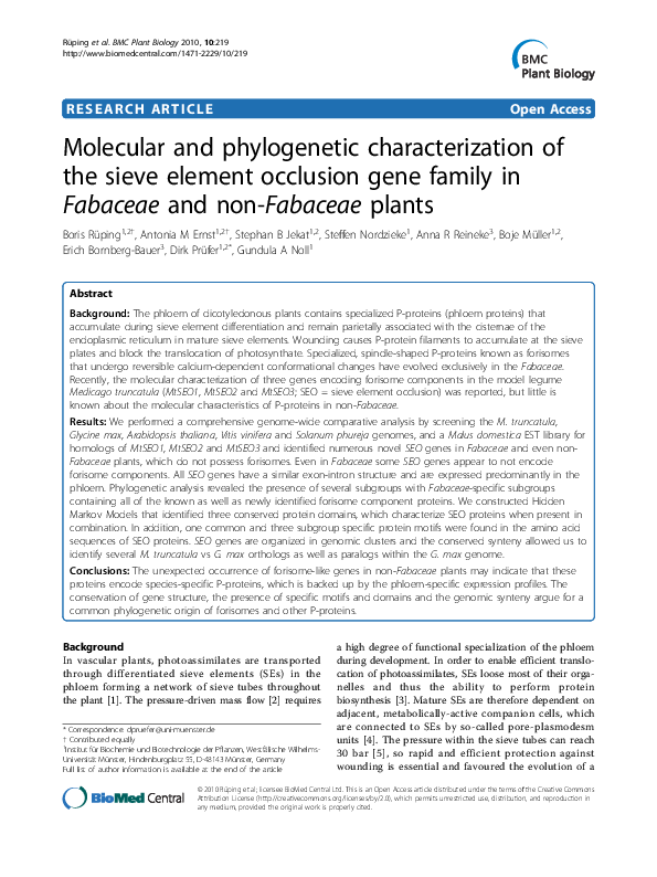 (PDF) Molecular and characterization of the sieve element